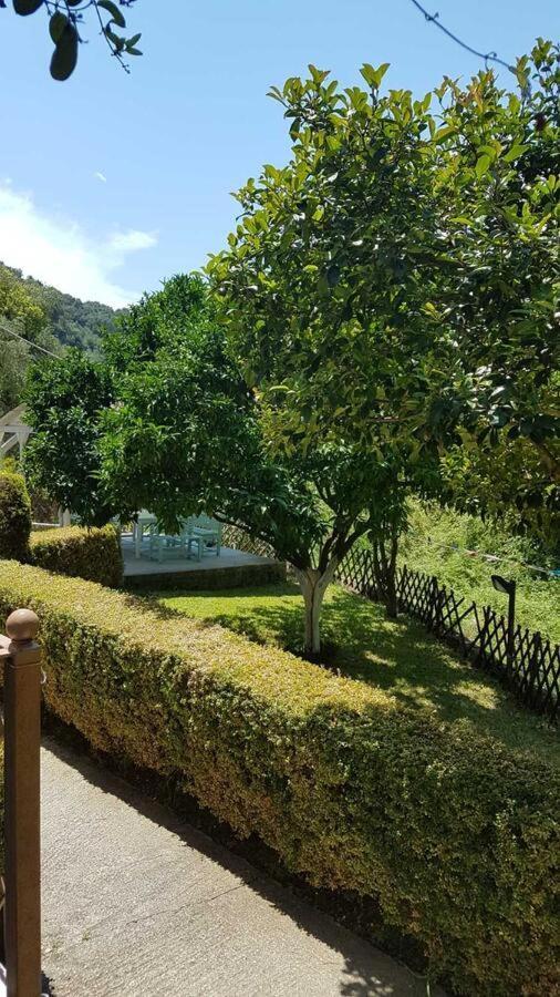 Olivista Apartment Parga Exterior photo